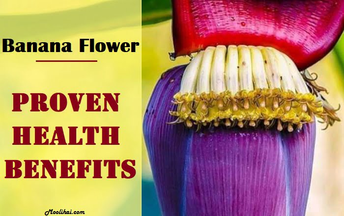 Renowned & Eminent Health Benefits Of Banana Flowers - Moolihai.com