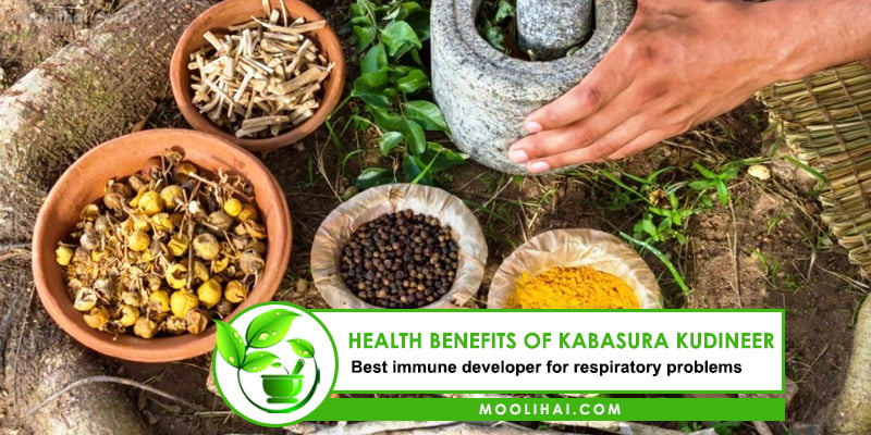 Benefits Of Kabasura Kudineer Side Effects Moolihai Com