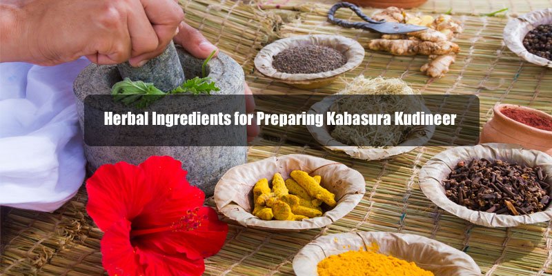 Herbal Ingredients for Preparing Kabasura Kudineer