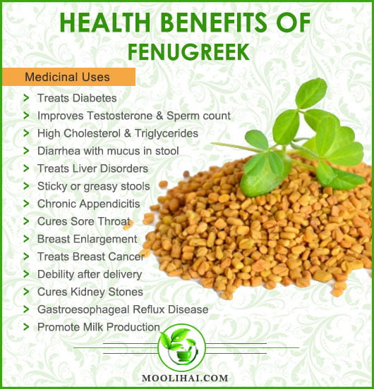 Health Benefits of Fenugreek [Medicinal Properties & Uses