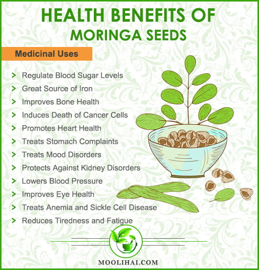 Health Benefits Of Moringa Seeds