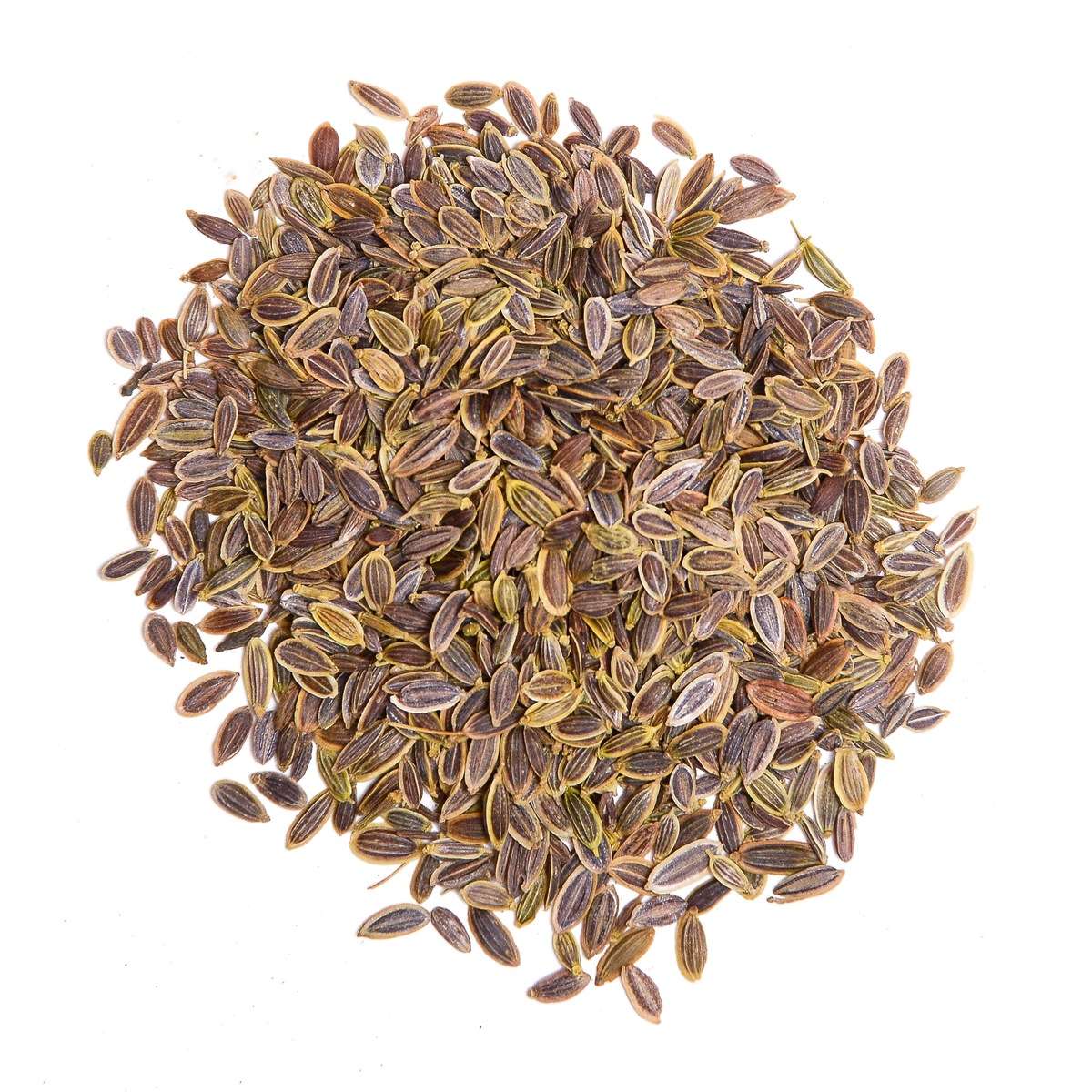 Dill Seeds(100 g)