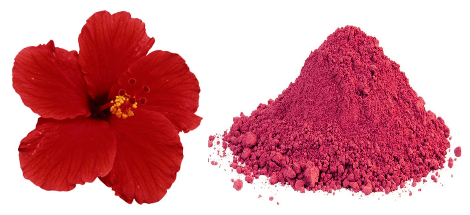 semparuthi-podi-hibiscus-flower-powder-javapushpamu-gudhal-phool