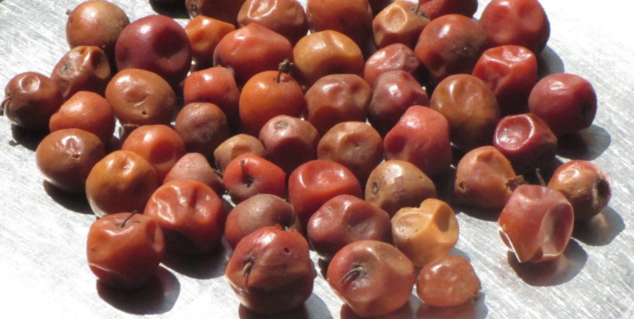 Dried Jujube fruit (Indian Plum / IlantIlanthai Pazham) Ziziphus