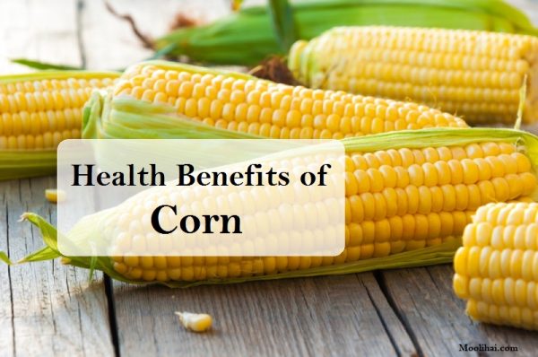 Amazing Benefits of Corn (Maize) For Hair, Skin, And Health