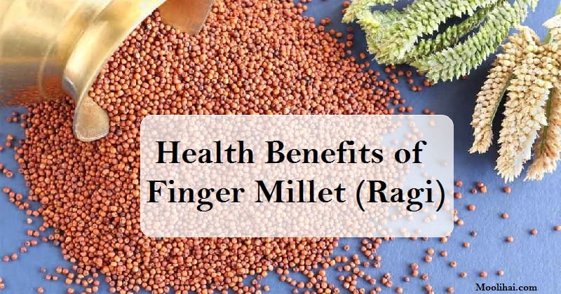 finger-millet-complete-information-including-health-benefits