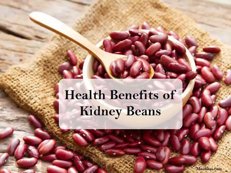 Kidney Beans: Health Benefits, Nutrition Facts & Side Effects