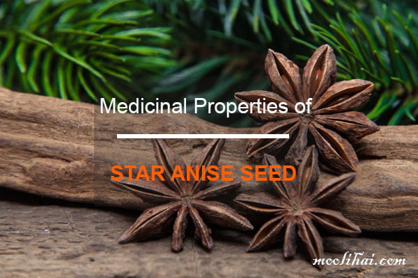 Medicinal Properties of star anise seed