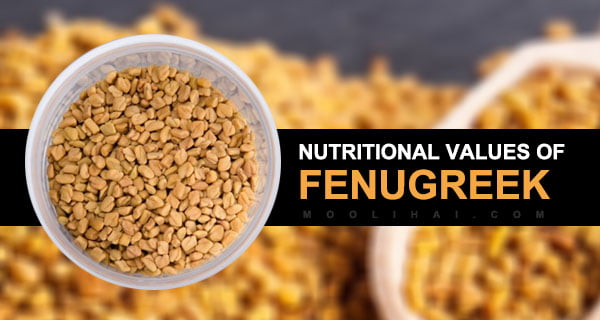 Health Benefits of Fenugreek [Medicinal Properties & Uses] - Moolihai.com