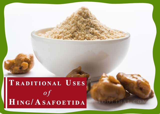 asafoetida-traditional-uses