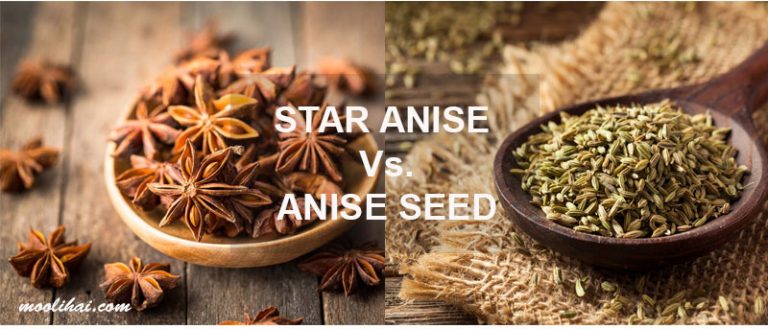 Star Anise Vs Anise Seeds - Moolihai.com