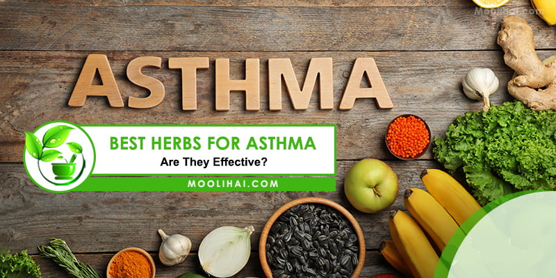 Top 10 Effective Home Remedies To Cure Asthma - Moolihai.com