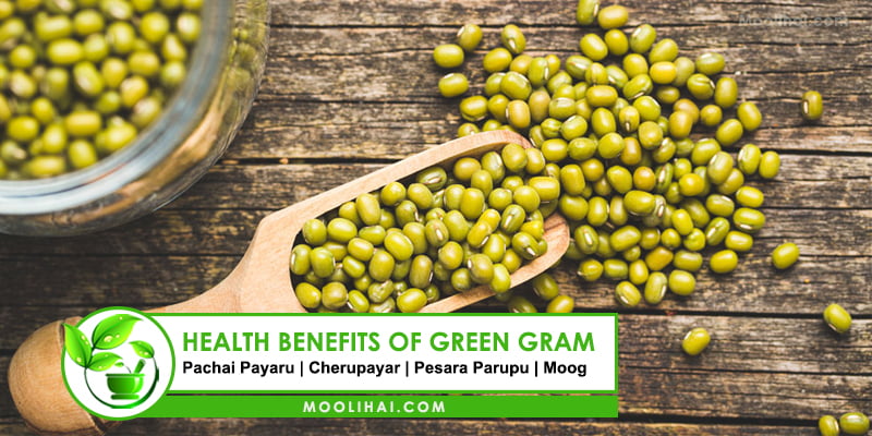 Health Benefits Medicinal Uses Of Green Gram Moolihai