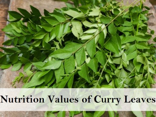 Surprising Benefits of Curry Leaves (Kadi Patta) for Health & Hair ...