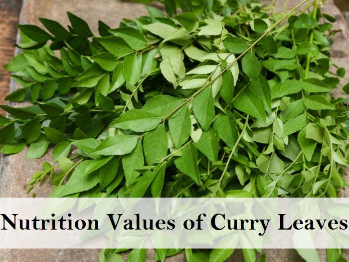 surprising-benefits-of-curry-leaves-kadi-patta-for-health-hair-moolihai