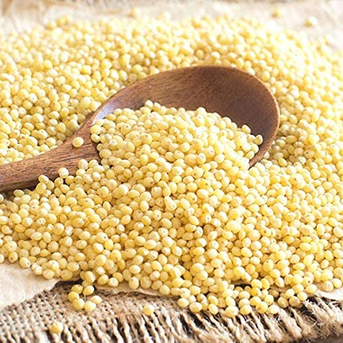 What Is Kodo Millet In Gujarati