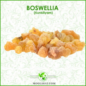 Boswellia: What It Is, Benefits, Uses, Dosage, & Side Effects | Moolihai