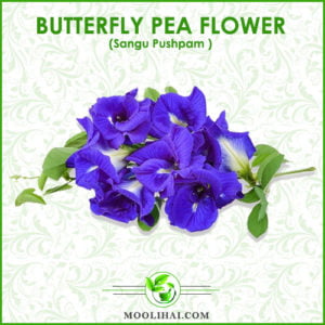 Blue Tea: Incredible Health Benefits Of Butterfly Pea Flower | Moolihai