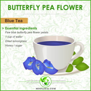 Blue Tea: Incredible Health Benefits Of Butterfly Pea Flower | Moolihai