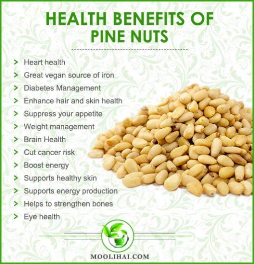 13-amazing-health-benefits-nutrition-facts-of-pine-nuts-moolihai