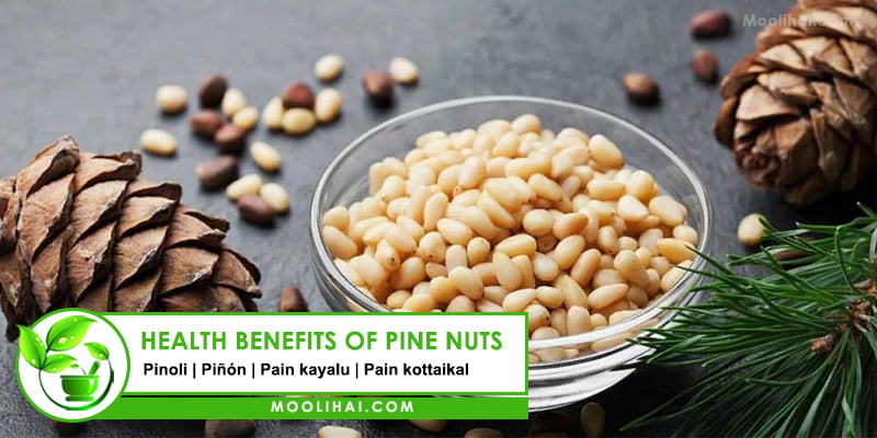 Health Benefits of pine nuts