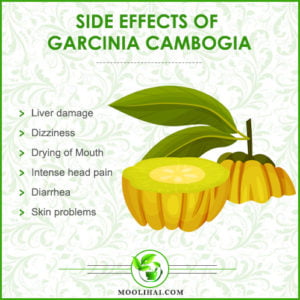 garcinia cambogia reviews and side effects