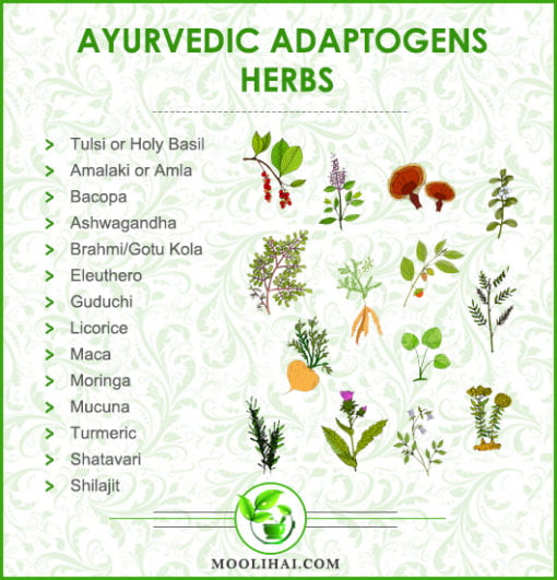 14 Best Adaptogenic Herbs of Ayurveda: Depression, Sleep & Stress