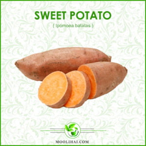 Science-Backed Benefits & Nutrition Source Of Sweet Potato - Moolihai