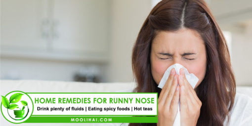 Natural And Home Remedies For Runny Nose - Moolihai.com