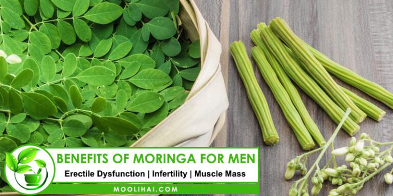 7 Possible Benefits Of Moringa For Men Is It Natural Viagra