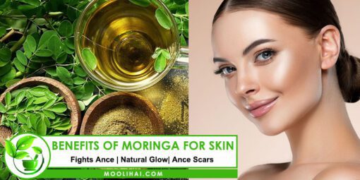 7 Proven Benefits Of Moringa For Skin Health - Moolihai.com